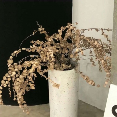 兽设萌系风格设计福瑞交流群